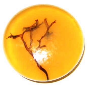 Mini savon ambré enrichi à l´huile d´argan 40g
